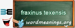 WordMeaning blackboard for fraxinus texensis